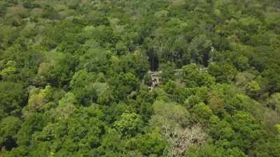 [Lynette]
You've got to break through
that rainforest canopy - Mysteries of the Abandoned