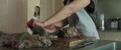 Lynwen serves rabbit at the pub regularly. - The Feast