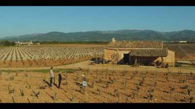 M y father started me on this Montenegro, - The Mallorca Files