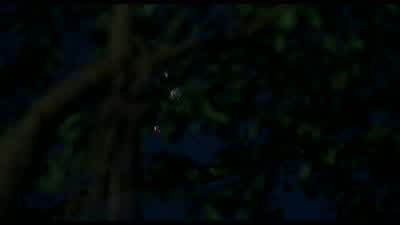 Mac. - This way. - Where the hell are you? - Predator
