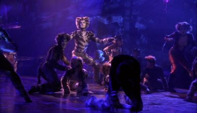 Macavity - Cats