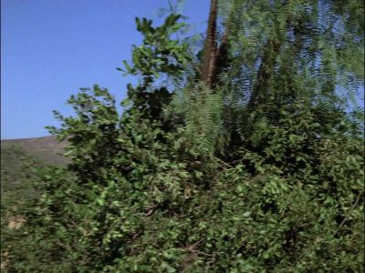 MacGyver, we are just about there. - MacGyver