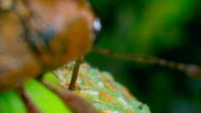 [machine whirring] - Tiny World