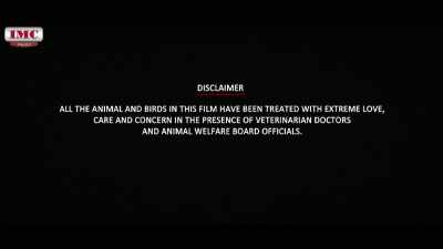 Macho, what happened? - Mersal