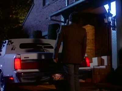 Madeline, I'm not a dog person. - Matlock