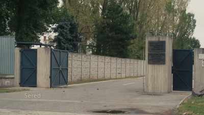 MADELINE VADKERTY
EXAMINA LAS HISTORIAS - The Tattooist’s Son: Journey to Auschwitz