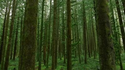 MADI: IT'S SO GREEN. - The 100
