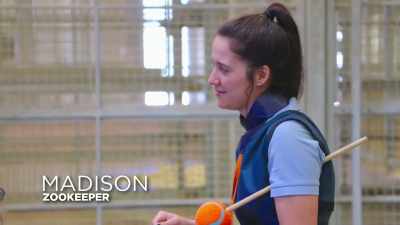 Madison: I heard you're working
on your american accent? - Secrets of the Zoo