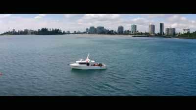 [Madison] The shark
nets are the one thing - Envoy: Shark Cull