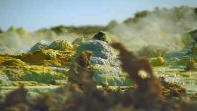 MAE: Bacteria can survive
up on mountain tops. - One Strange Rock