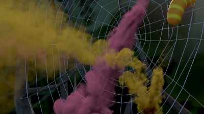 - [Magenta screams]
- [flatulence] - Larva Family