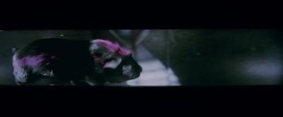 Magenta This is so stupid - Sky High