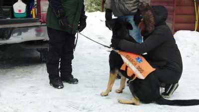 [Maggie] Deb's dog Eisen will
demonstrate how dogs track - The Disappearance of Maura Murray