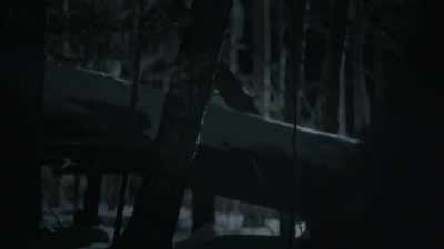 [Maggie] It's an interesting
point, and in these woods - The Disappearance of Maura Murray