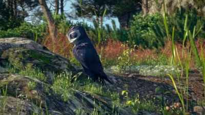 "Magic." - Manou the Swift