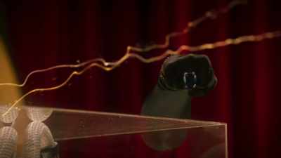 - [magic zinging] - The Bureau of Magical Things