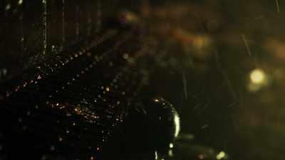 Mahalia had changed all that. - The City and the City