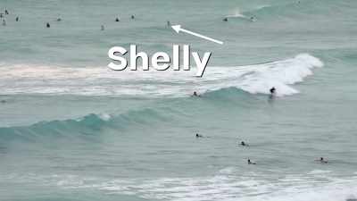 Mahalo, dude! Shelly sucked! - Absurd Planet