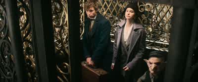 Major Investigation Department. - Fantastic Beasts and Where to Find Them