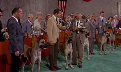 MAKE A DEAL WITH YOU.
WHAT'S THAT ? - The Ugly Dachshund