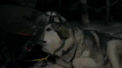Make a hot meal for 'em.
Get the liquids into 'em. - Life Below Zero: Next Generation