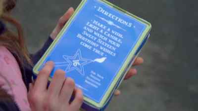 "Make a wish light a candle - 16 Wishes