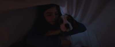 Make that noise stop.
I'm really, really scared. - A Dog's Journey