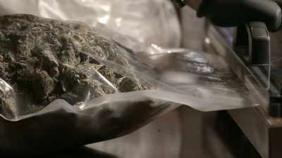 Make sure the bag
doesn't collapse in on itself. - Murder Mountain