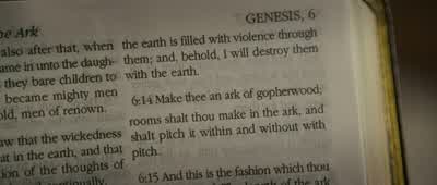 Make thee an ark of gopher wood - Evan Almighty