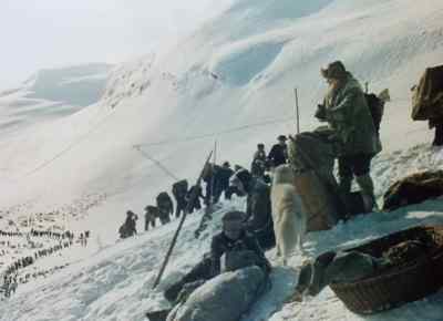 Make way! Make way
for the mail sled. - The Call of the Wild