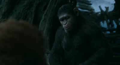 Makes me think how far we've come, Maurice. - Dawn of the Planet of the Apes