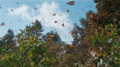 '..making a series like
A Year On Planet Earth - A Year on Planet Earth