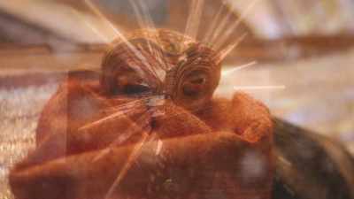 ♪ Making space in the manger
Making time, taking part ♪ - An Almost Christmas Story