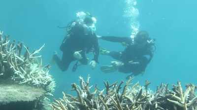 MALCOLM AND UNESCO SAY THE REEF - The Jim Jefferies Show