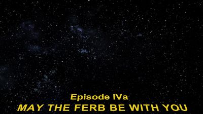 (MALE NARRATOR READING) - Phineas and Ferb