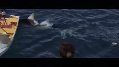 -(MALE VOICE CHUCKLING)
-(PETER CHEERING) - Playing with Sharks