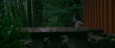 Malorie. - Bird Box