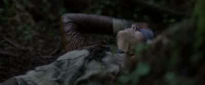 Malorie. - Bird Box