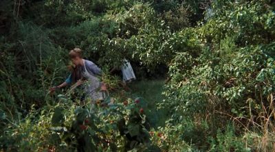 Mama, do you think maybe Yancy
could have stolen that pig? - The Waltons