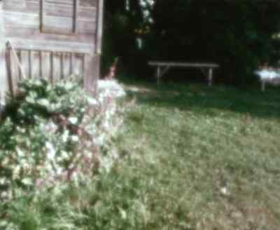 Mamma complains that
her memory is failing. - Reminiscences of a Journey to Lithuania