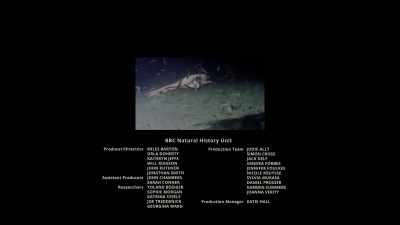 Man 2: We can't explore
the deep ocean remotely - Oceans: Our Blue Planet