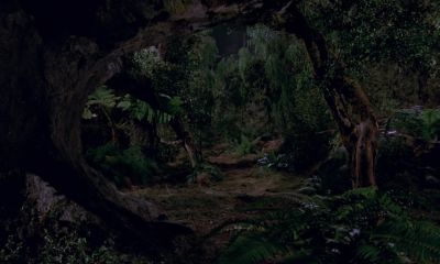 Man 2 Where'd he go - Pete's Dragon