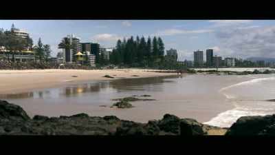 [man 3] In Queensland,
history shows us, - Envoy: Shark Cull