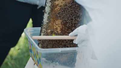 [man 3] Just remember, don't pinch between
his balls and those bees, 'cause... - Jackass Forever