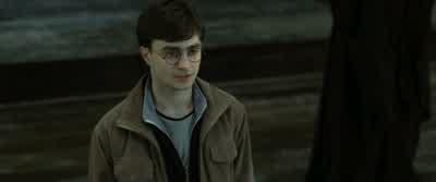 VOLDEMORT: Harry. - Harry Potter and the Deathly Hallows: Part 2