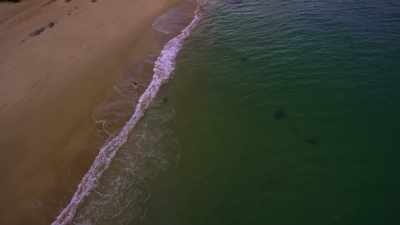 [man]  Already biologists say
some corals are dying, - Chasing Coral