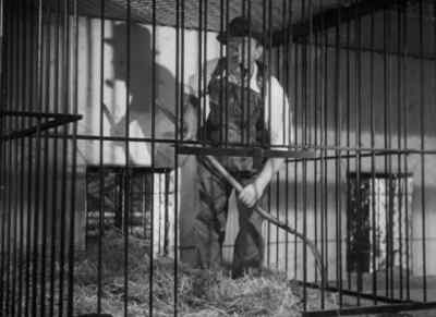 - [Man] Anything I can do
something for you, Peter? - Murders in the Zoo