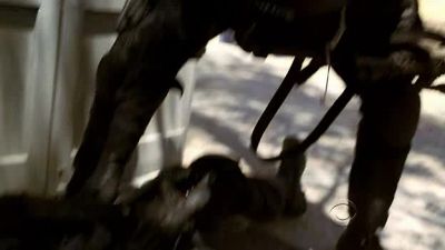 Man down! Man down! - Criminal Minds