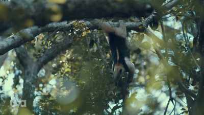- * Man down, save me * - Snake in the Grass