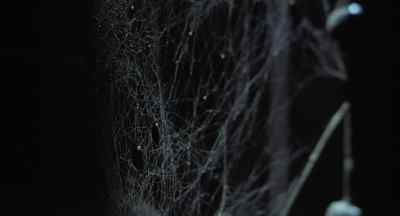 Man (faintly): Help me. - The Legend of Hell House